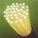 Fibre_optique