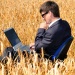 Télétravail dans les blés