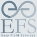 Logo EFS