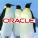 Oracle