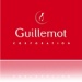 guillemot_v.jpg