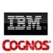 cognos_ibm.jpg