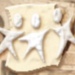 Logo Dimo Gestion
