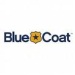 blue_coat