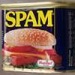 Spam USA