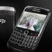 Blackberry Bold