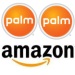 Palm__Amazon