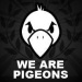Les_pigeons