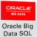 Oracle_Big_Data_SQL